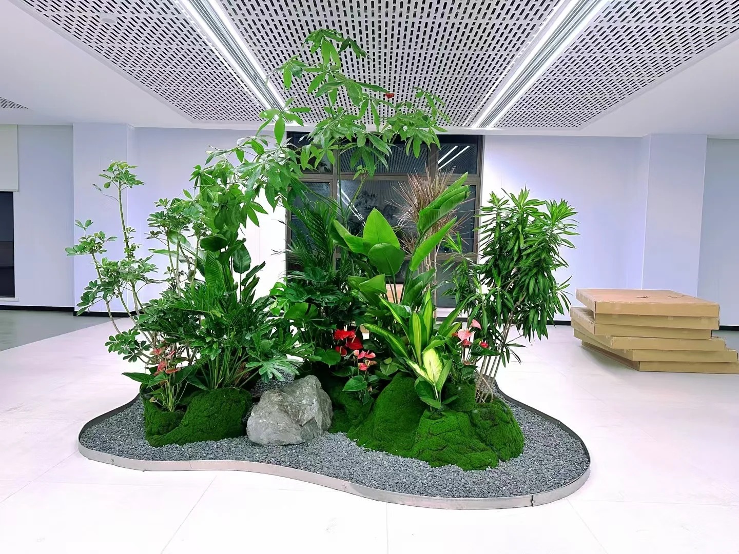 价格超实惠的宁波奉化花木租摆，速来！