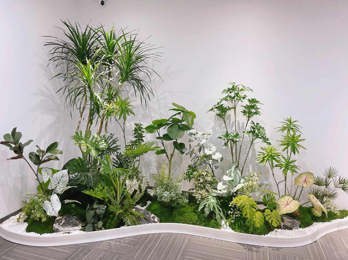 价格超实惠的宁波奉化花木租摆，速来！